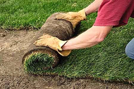 hazır çim uygulama